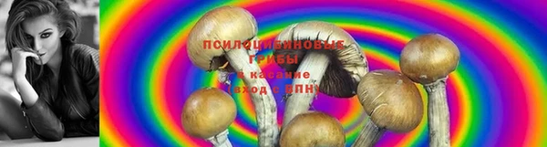 кокаин Горно-Алтайск