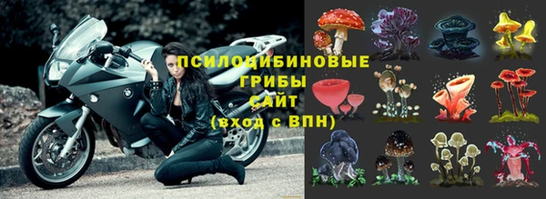 марихуана Горнозаводск