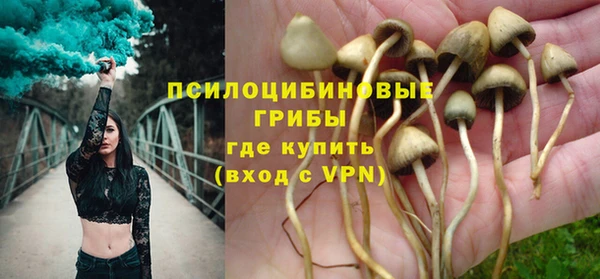 экстази Горняк