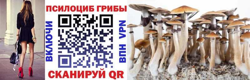 Псилоцибиновые грибы Psilocybe Купить закладки Нариманов